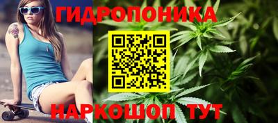 a pvp Гусев