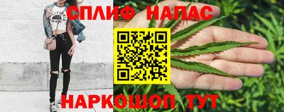 a pvp Гусев