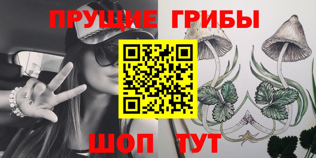 Псилоцибиновые грибы GOLDEN TEACHER Королёв